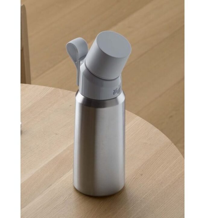 Bouteilles Gen 2 Steel Silver