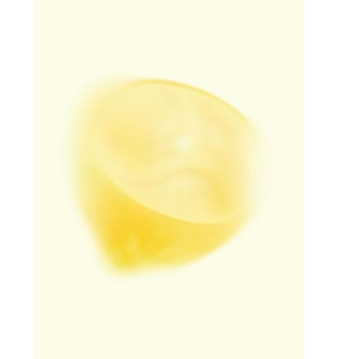 Dosettes au citron Dosettes au citron
