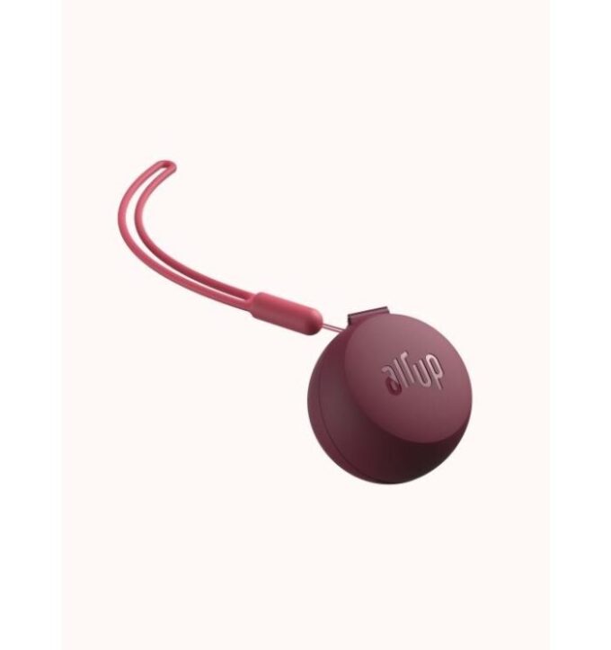 Étuis Pod Twogo Accessoires Prune bordeaux